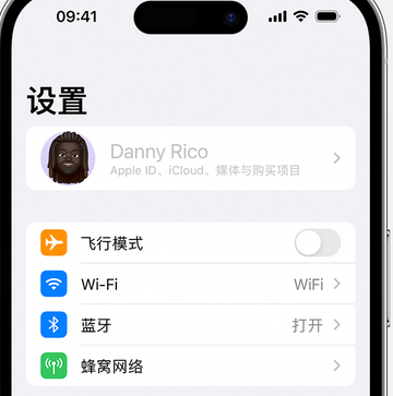 阳日镇appleID维修服务iPhone设置中Apple ID显示为灰色无法使用 