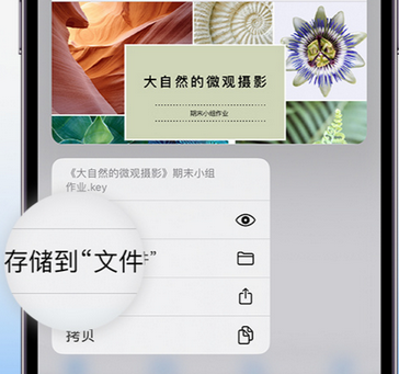 阳日镇apple维修中心分享iPhone文件应用中存储和找到下载文件