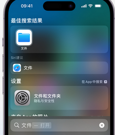 阳日镇apple维修中心分享iPhone文件应用中存储和找到下载文件 