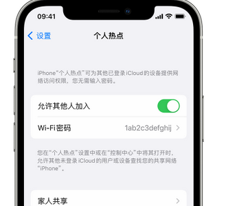 阳日镇apple服务站点分享iPhone上个人热点丢失了怎么办 