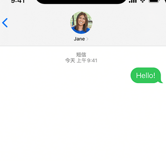 阳日镇apple维修iPhone上无法正常发送iMessage信息