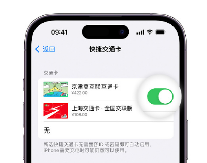 阳日镇apple维修点分享iPhone上更换Apple Pay快捷交通卡手绘卡面 