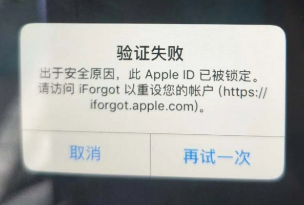 阳日镇iPhone维修分享iPhone上正常登录或使用AppleID怎么办 