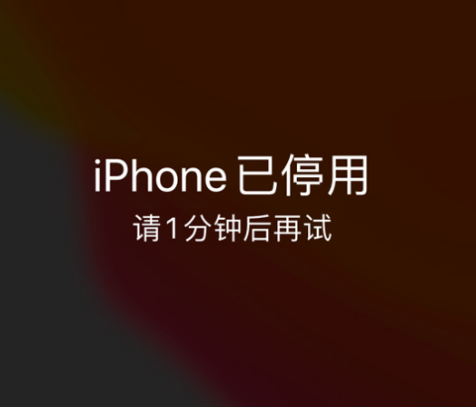 阳日镇苹果手机维修分享:iPhone 显示“不可用”或“已停用”怎么办？还能保留数据吗？ 