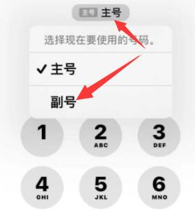 阳日镇苹果14维修店分享iPhone 14 Pro Max使用副卡打电话的方法 