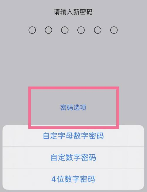 阳日镇苹果14维修分享iPhone 14plus设置密码的方法 