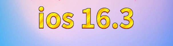 阳日镇苹果服务网点分享苹果iOS16.3升级反馈汇总 