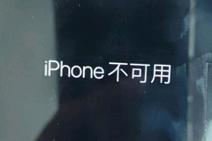 阳日镇苹果服务网点分享锁屏界面显示“iPhone 不可用”如何解决 