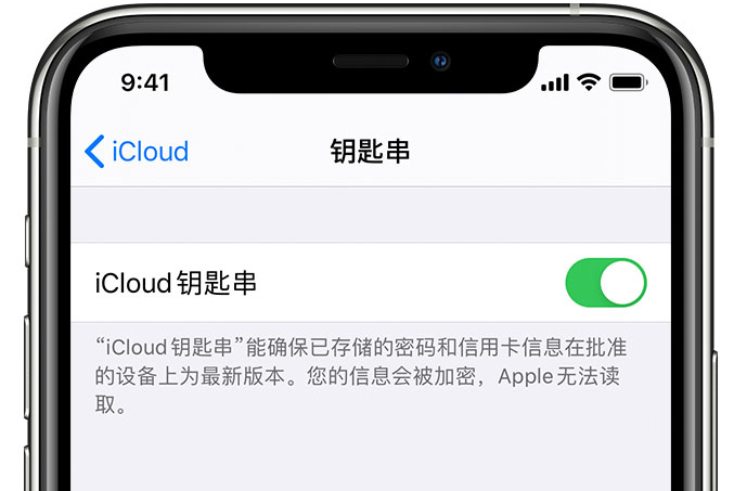 阳日镇苹果手机维修分享在 iPhone 上开启 iCloud 钥匙串之后会储存哪些信息 