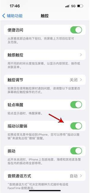 阳日镇苹果手机维修分享iPhone手机如何设置摇一摇删除文字 